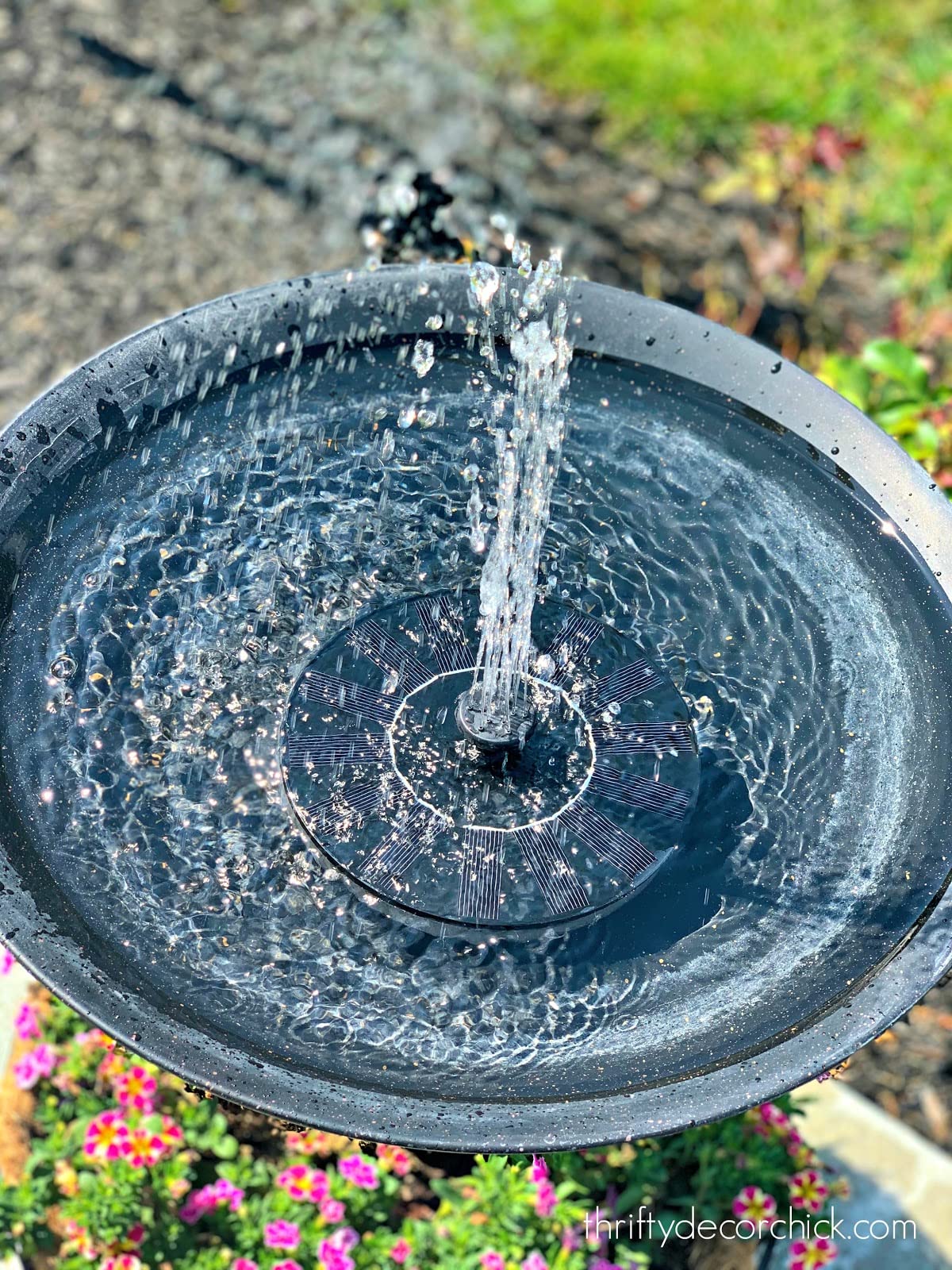 VIVII Solar Fountain Pump installed in a birdbath
