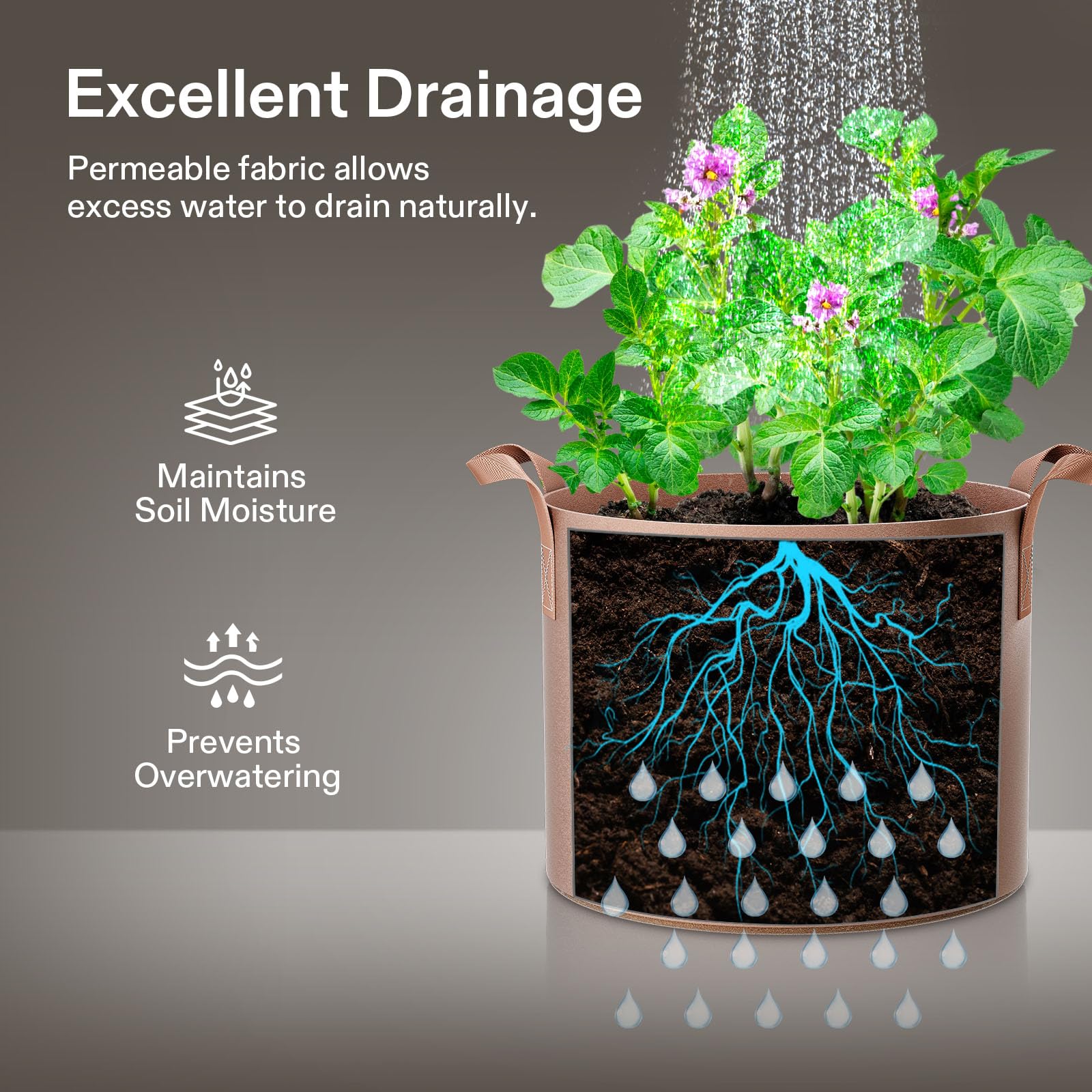 VIVOSUN 15 Gallon Grow Bag with plant inside