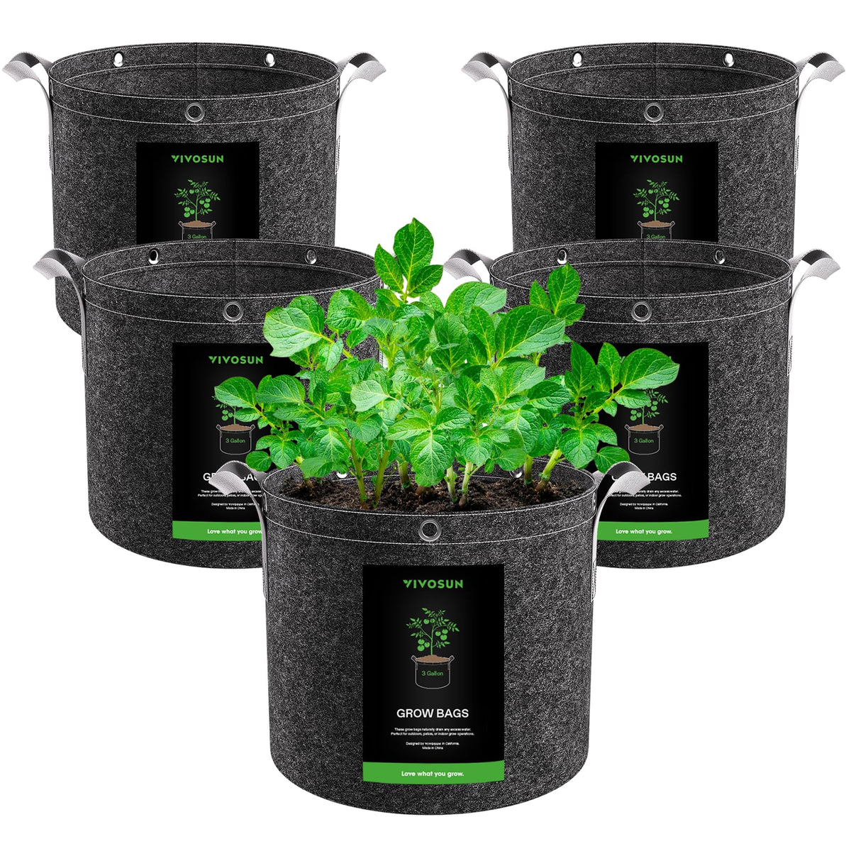 VIVOSUN 3 Gallon Grow Bag front view, black fabric