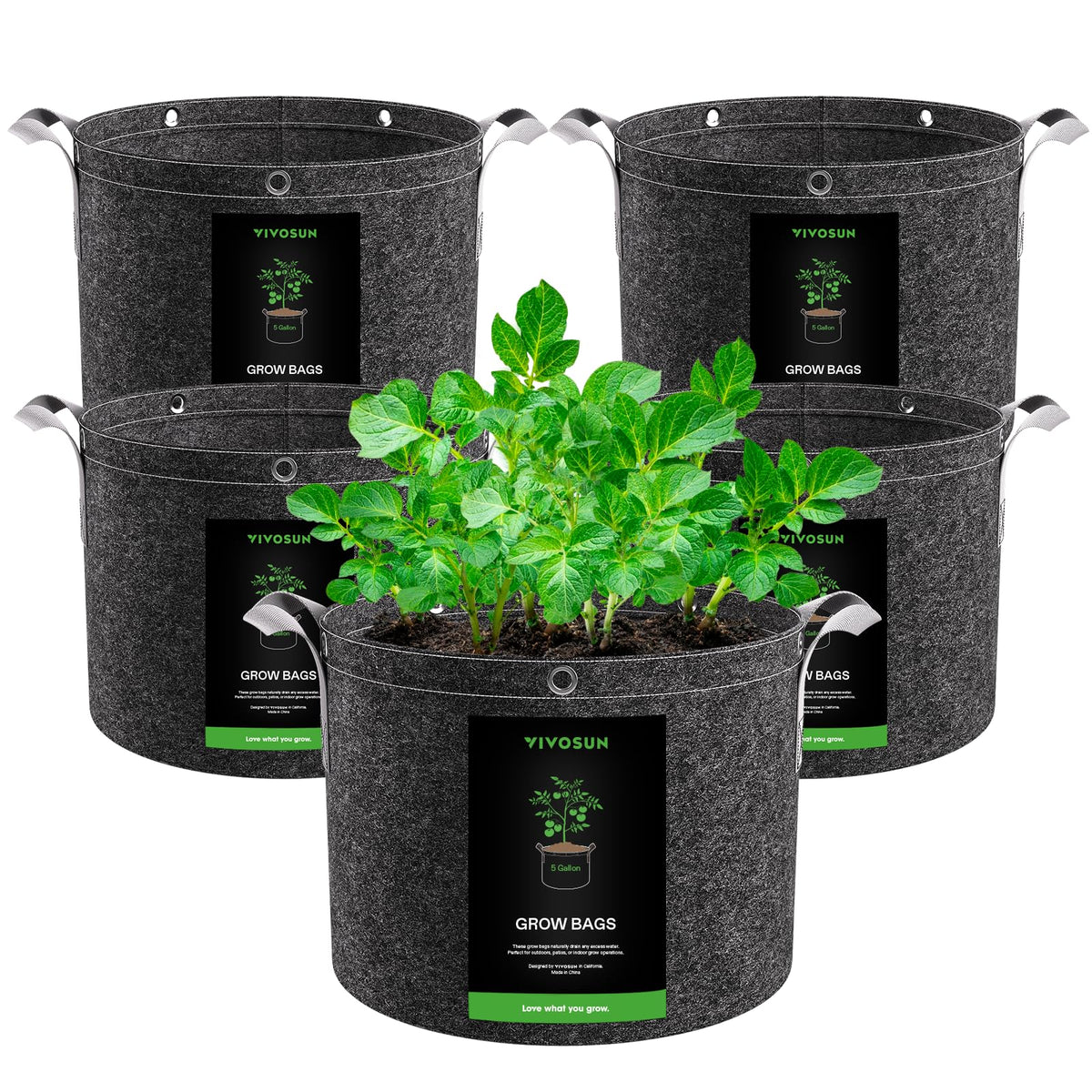 VIVOSUN 5 Gallon Grow Bag front view with reinforced handles