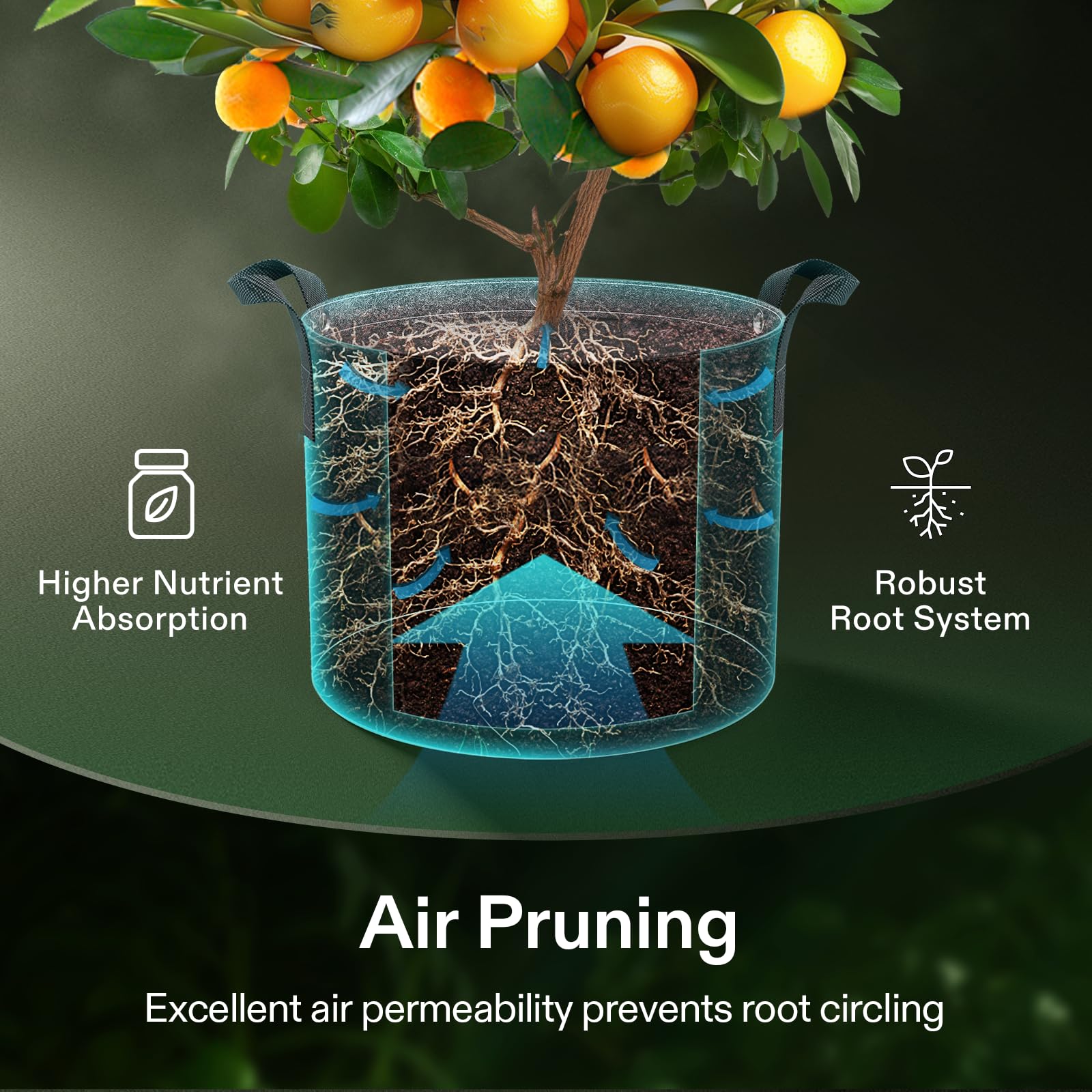 VIVOSUN Grow Bag filled with soil and a young plant