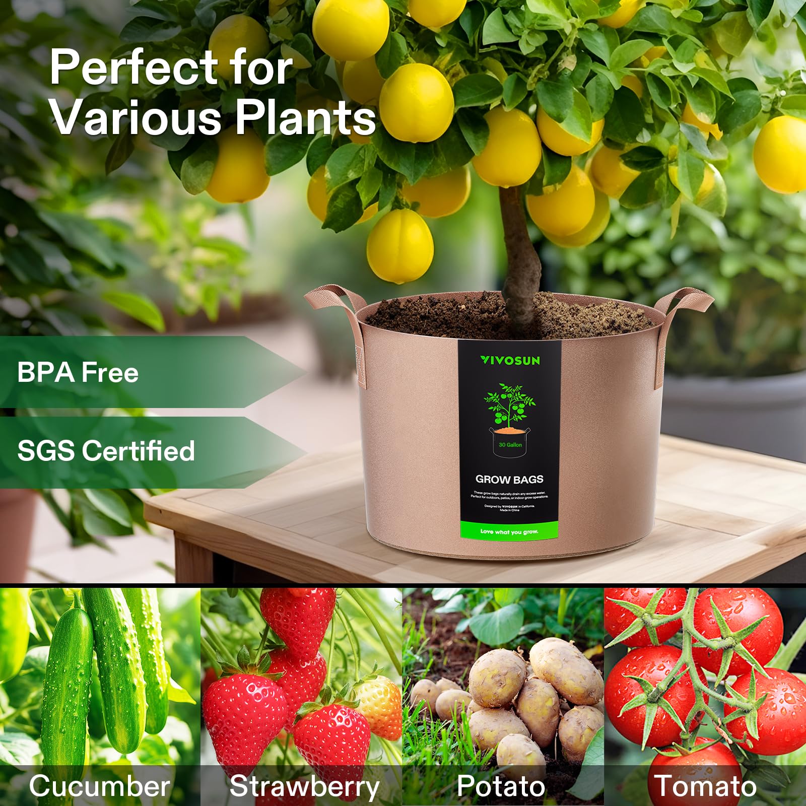 VIVOSUN grow bag with plants in a garden setting