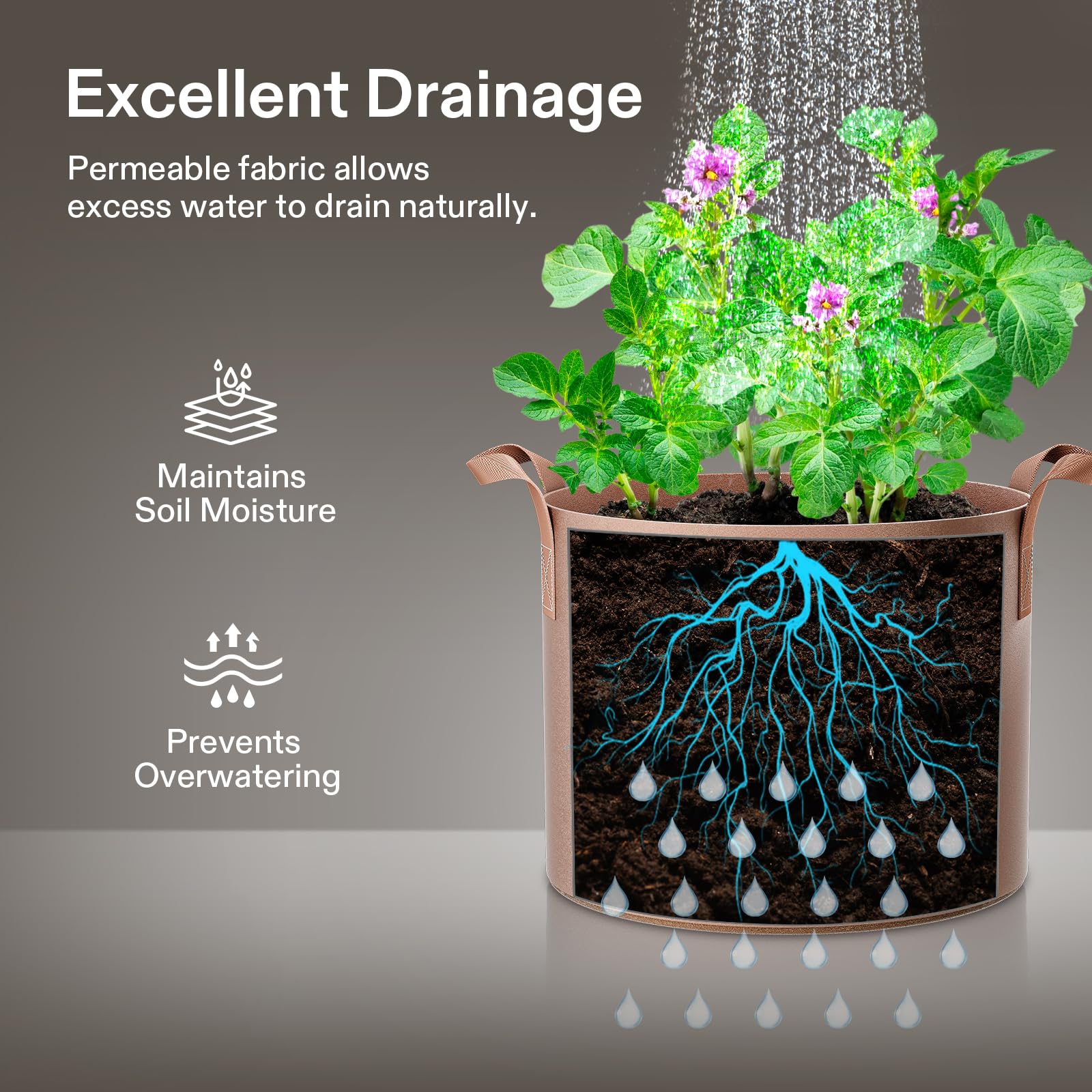 VIVOSUN grow bags outdoors on a patio