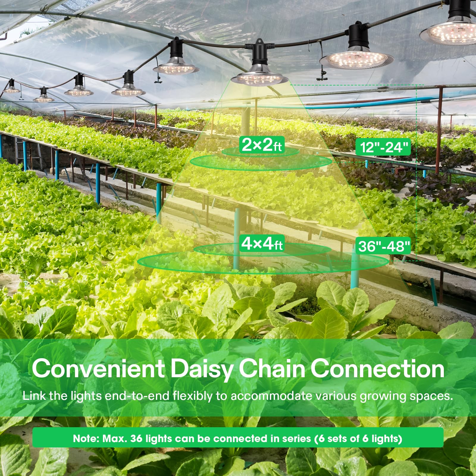 VIVOSUN LED Grow Light showing daisy chain connections