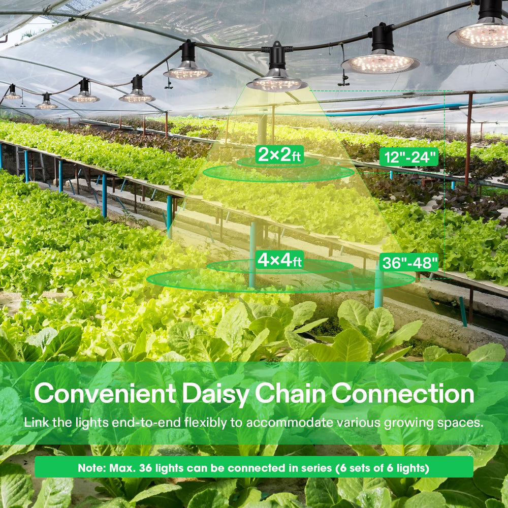 VIVOSUN LED Grow Light showing daisy chain connections