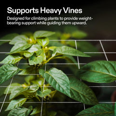VIVOSUN Plant Trellis Netting folded and stored