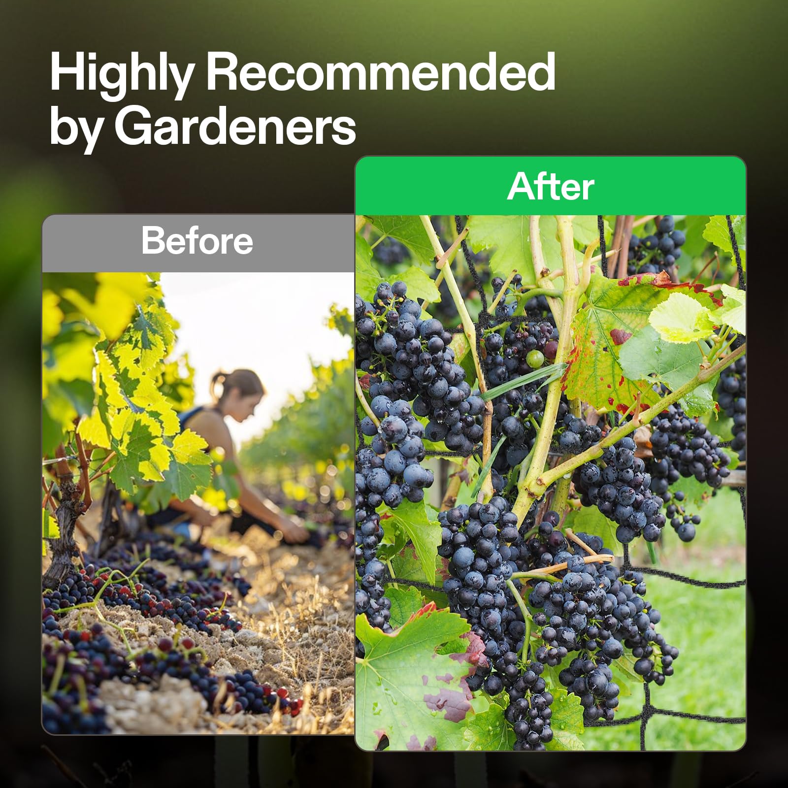 VIVOSUN trellis netting in garden setting with vegetables