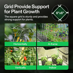VIVOSUN trellis netting supporting climbing plants