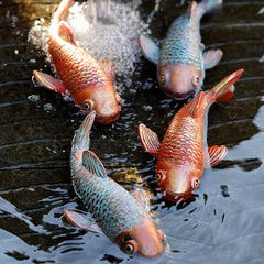 VKEVOC koi fish statue side view showcasing details