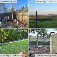 Vocray Bird Netting used in chicken coop