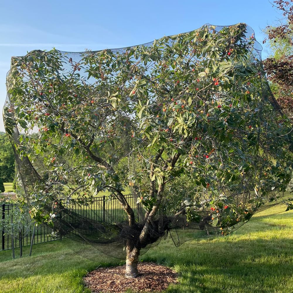 Vocray Bird Netting weather-resistant features