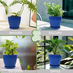 Vodotion 7.5 inch plant pot with succulent