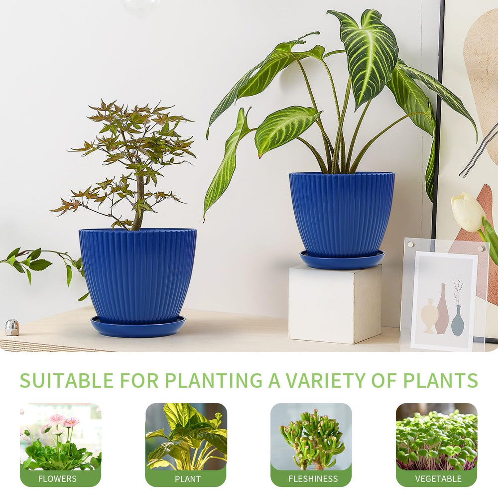 Vodotion plant pots in various sizes on a table