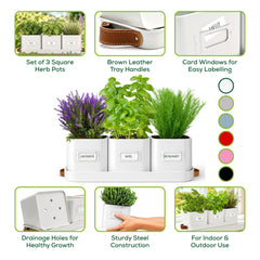 volila herb planter set including leather handled tray