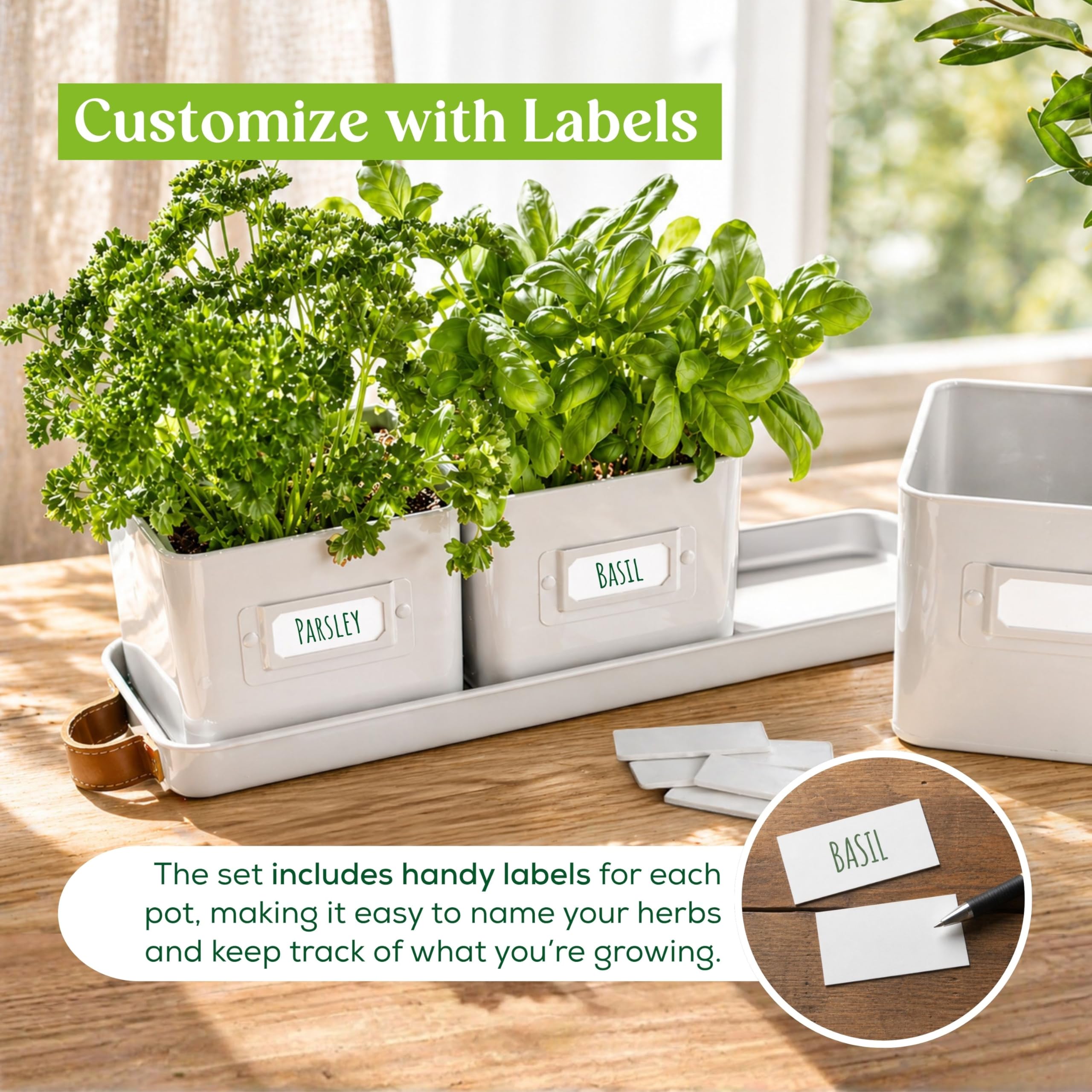volila indoor herb pots arranged on a windowsill