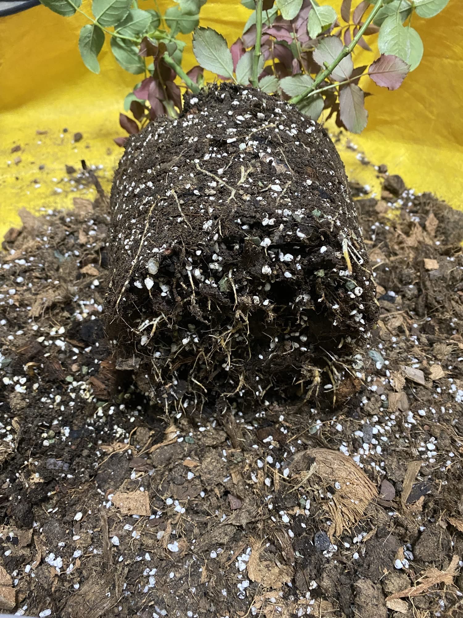 Voulosimi Organic Perlite stored in a dry place
