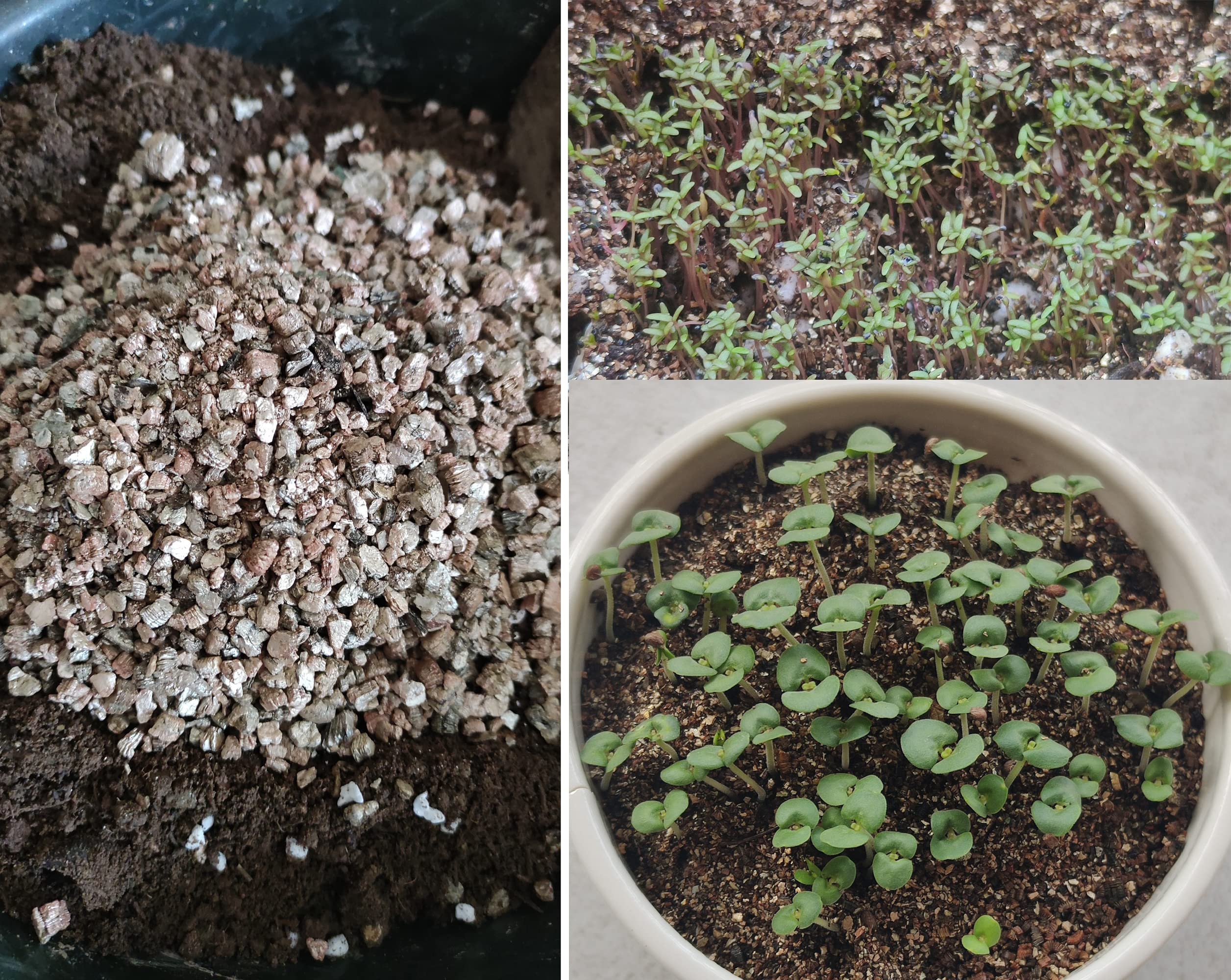 Voulosimi Organic Vermiculite Granules in garden soil