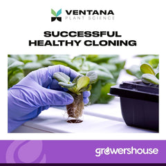 VPS OrganiPlug Seed Starter Plugs 50-pack packaging