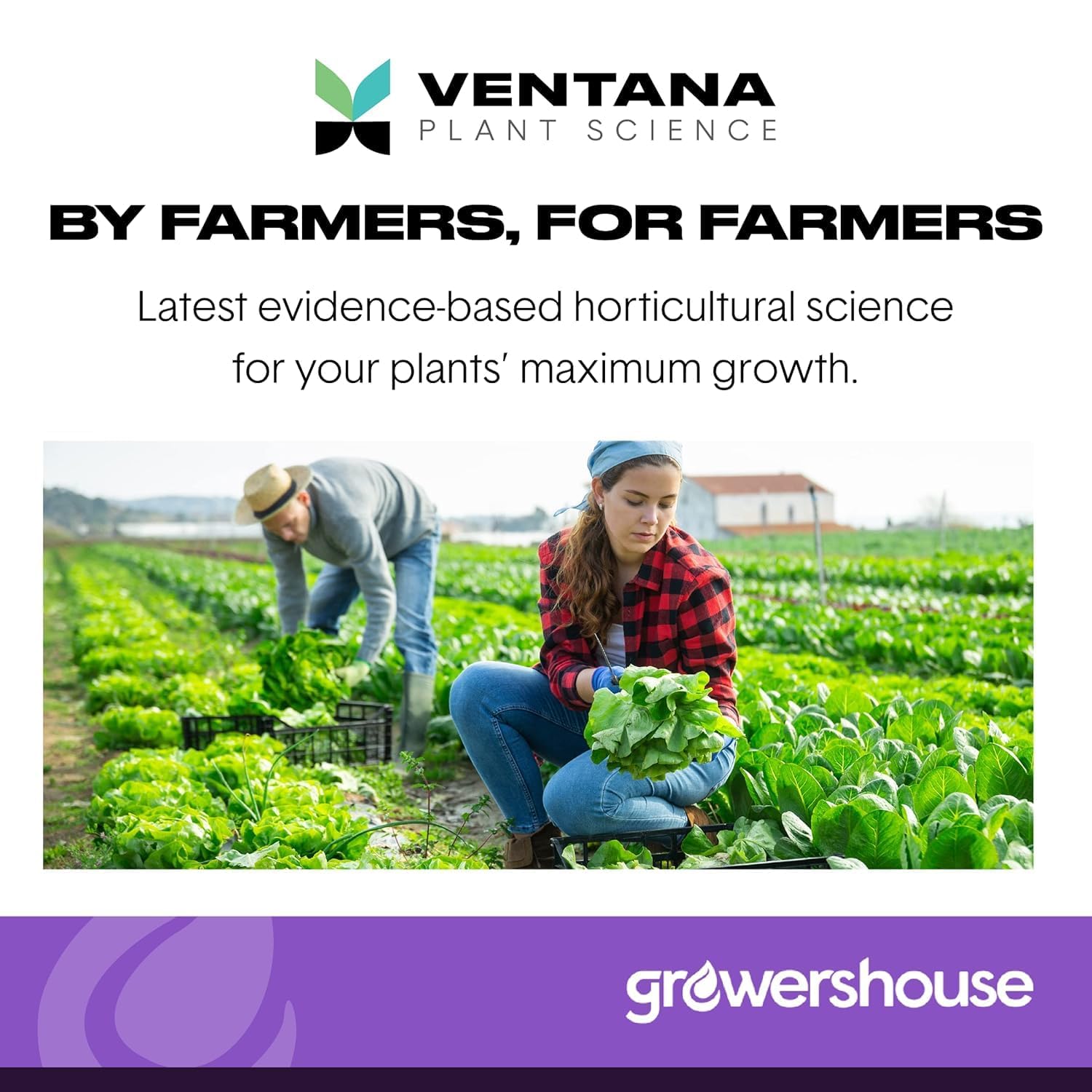 VPS OrganiPlug Seed Starter Plugs being used in hydroponic setup