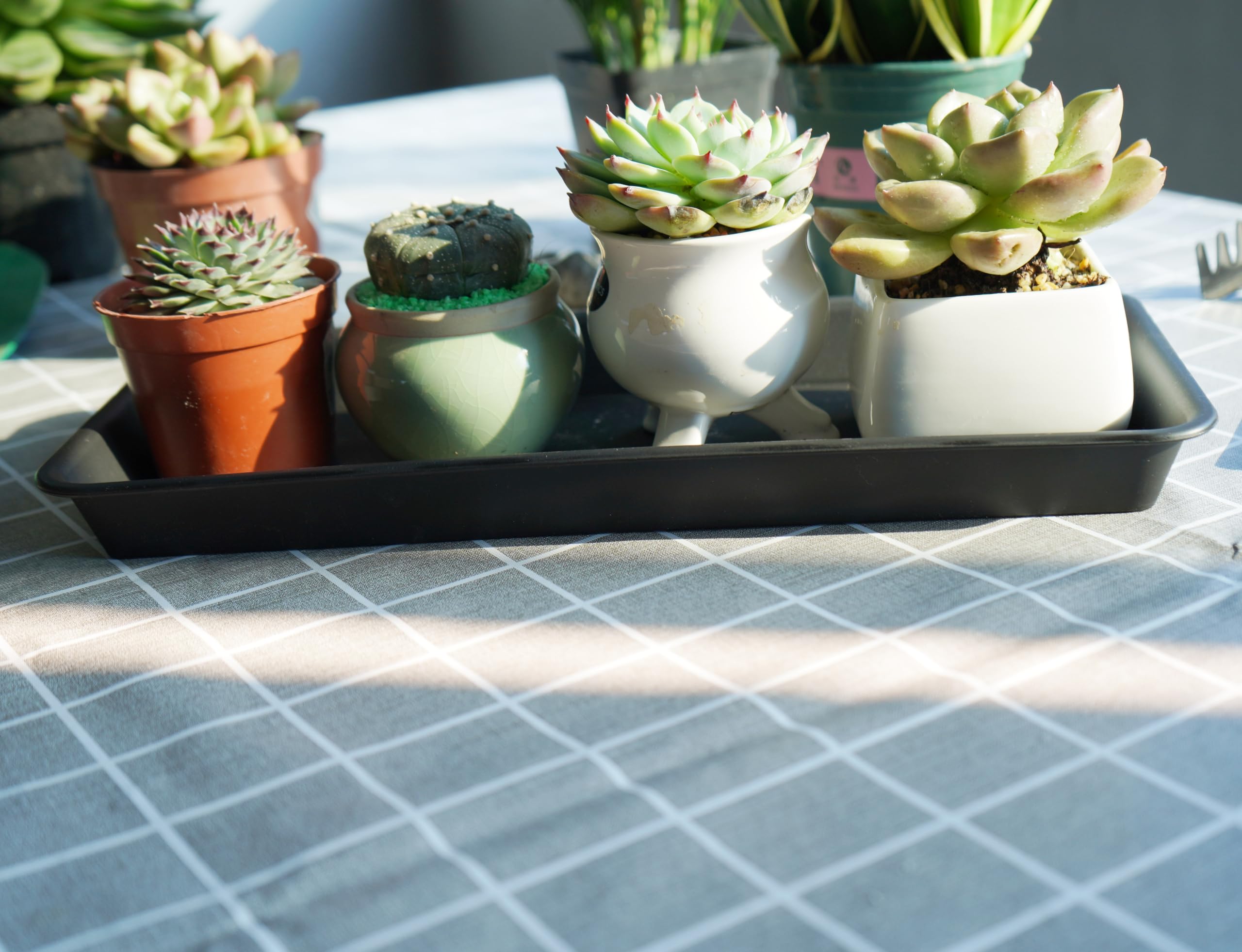 VUWEZ black rectangular plant tray with water