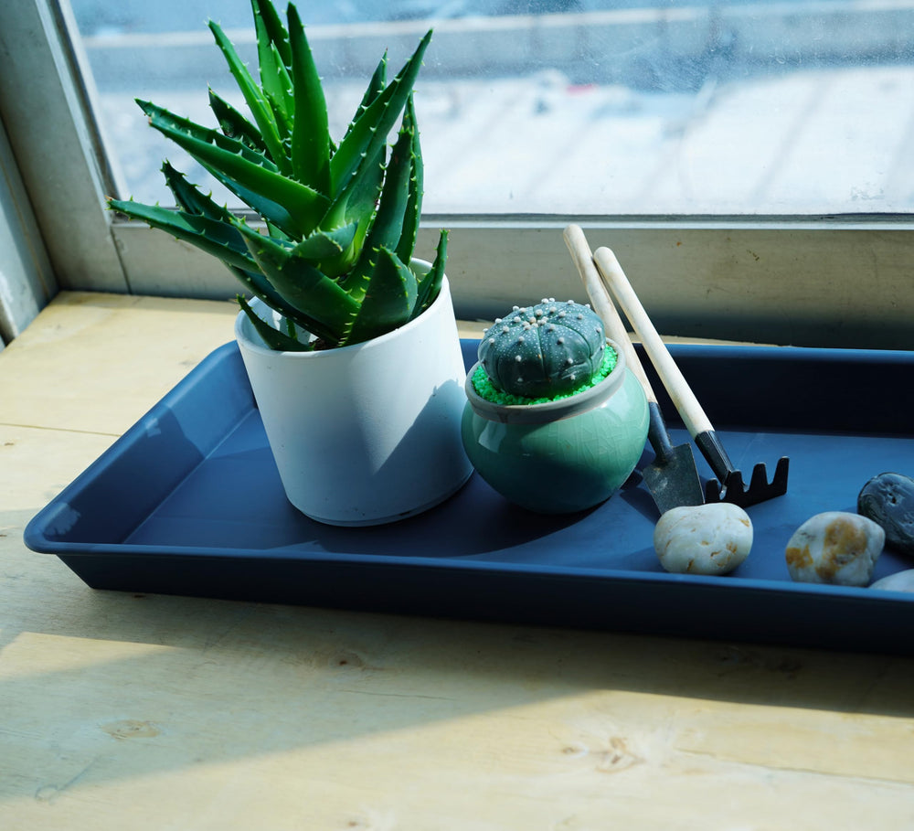 VUWEZ blue rectangular plant tray in a garden setting