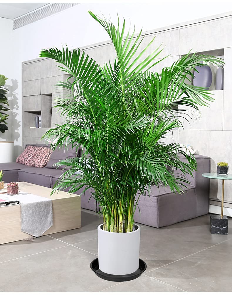 VUWEZ plant saucer in outdoor setting