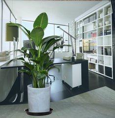 VUWEZ plant saucers packaging