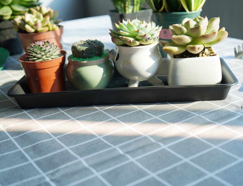 VUWEZ Plant Tray Saucer in black on a windowsill