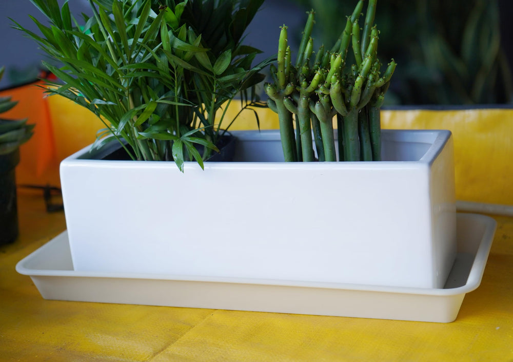 VUWEZ plastic plant trays showing drainage function
