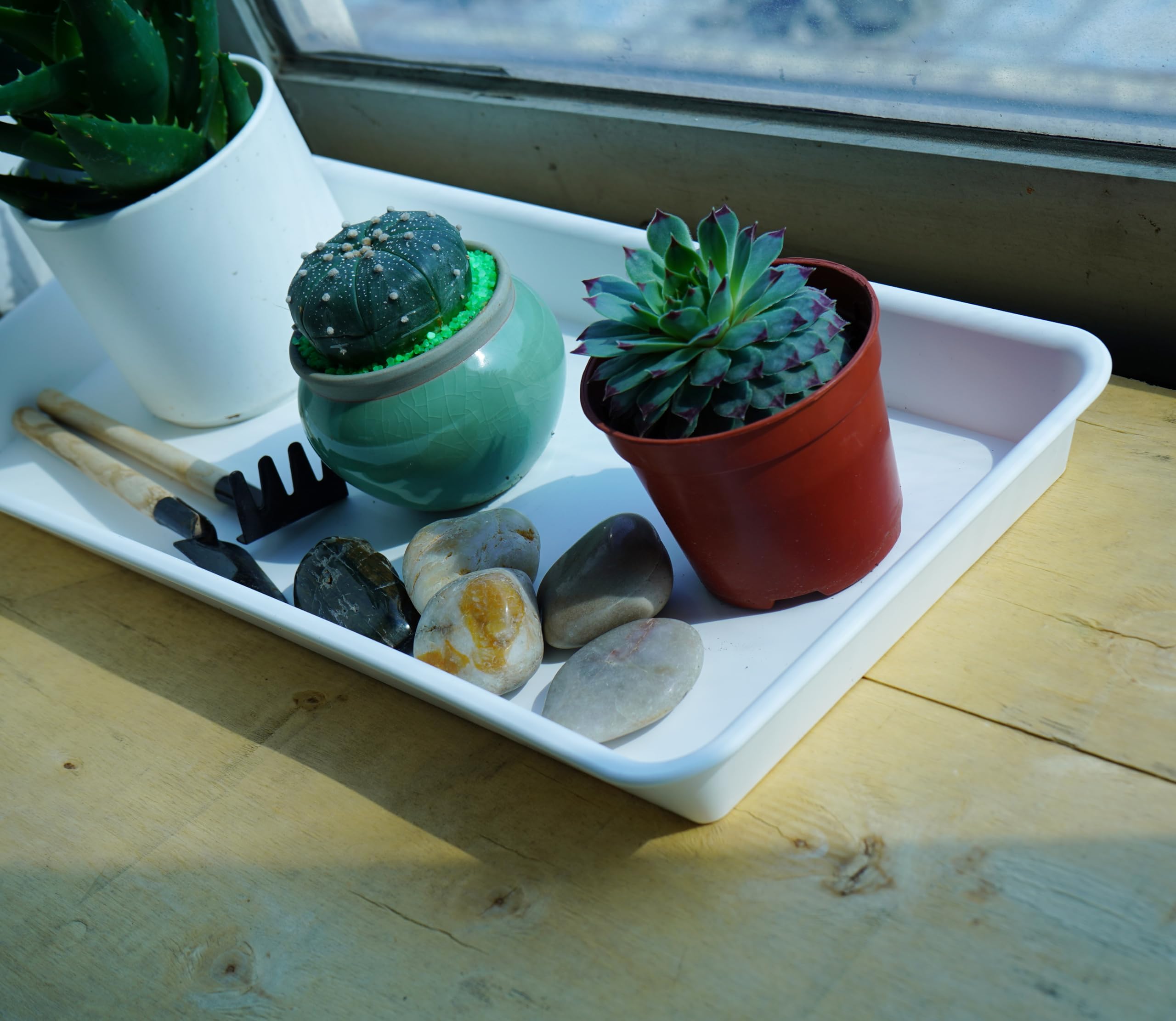 VUWEZ Rectangular Plant Saucer next to various plant pots