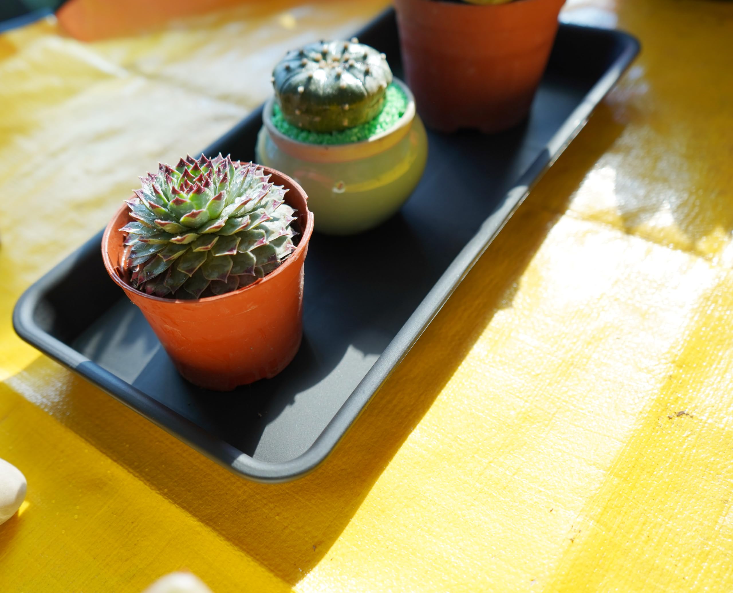 VUWEZ Rectangular Plant Saucer with measurements shown