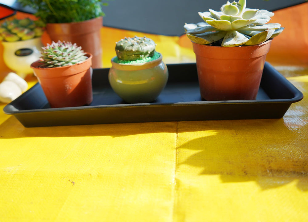 VUWEZ rectangular plant tray in a garden setting