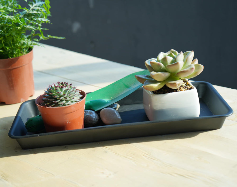 VUWEZ rectangular plant tray on a windowsill