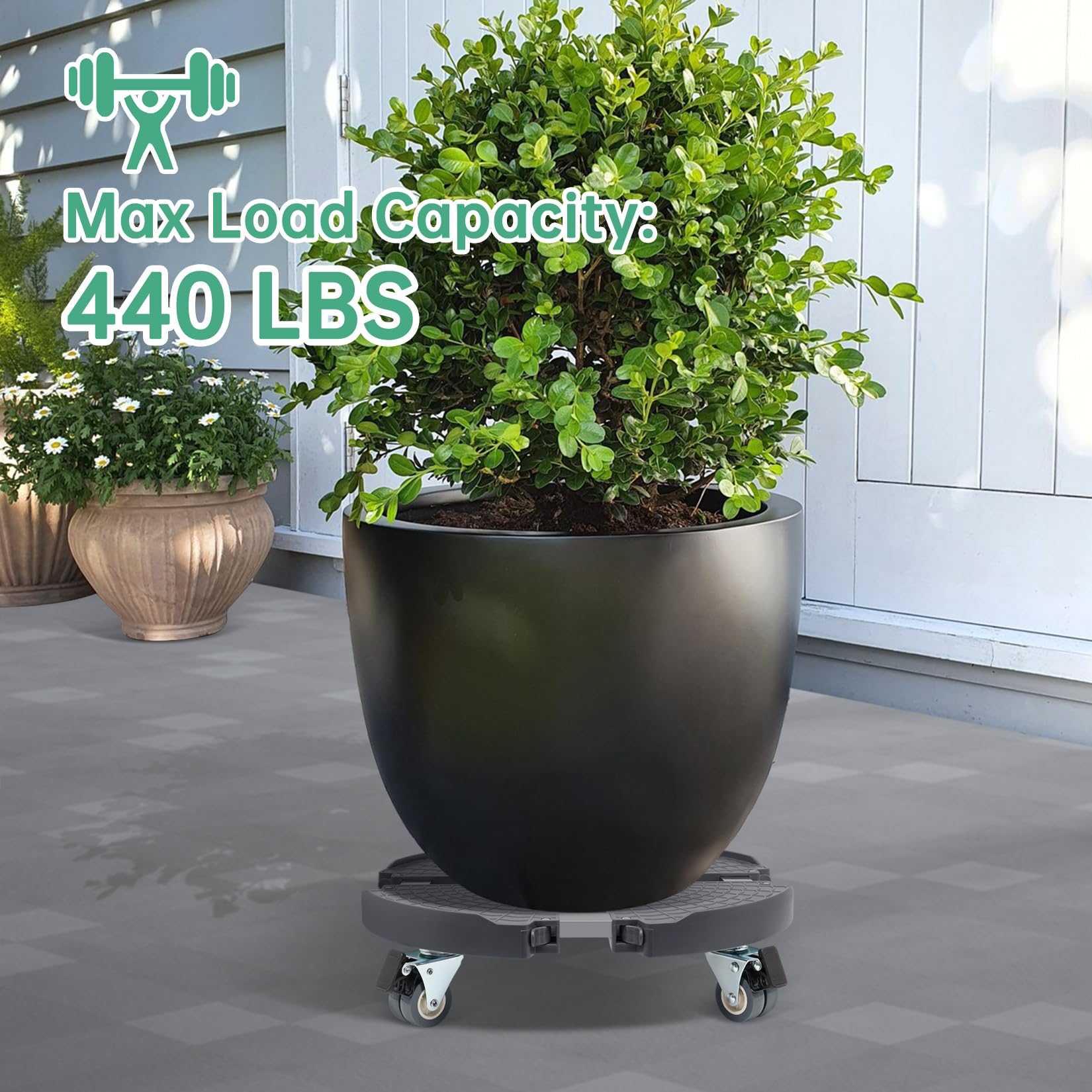 W B D WEIBIDA dolly showing four swivel casters from below