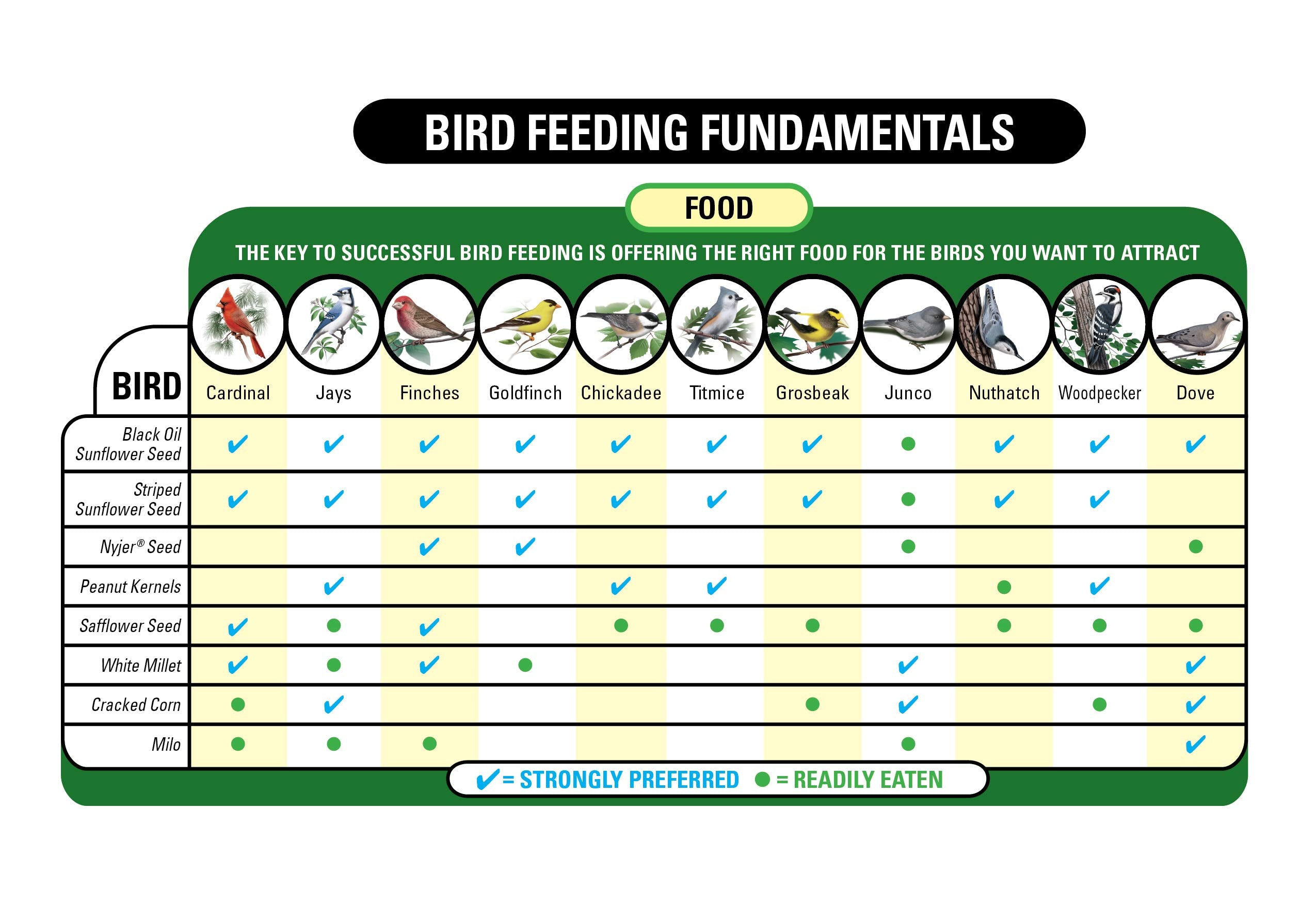 Wagner's Eastern Regional Blend Wild Bird Food in a feeding setup