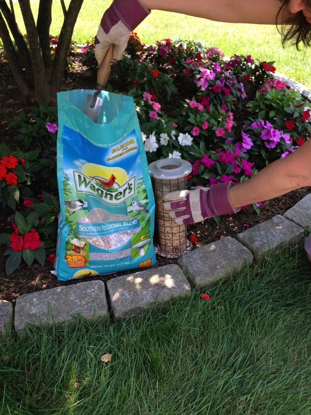 Wagner's Southern Regional Blend Wild Bird Food in a feeder