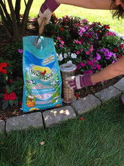 Wagner's Southern Regional Blend Wild Bird Food in a feeder