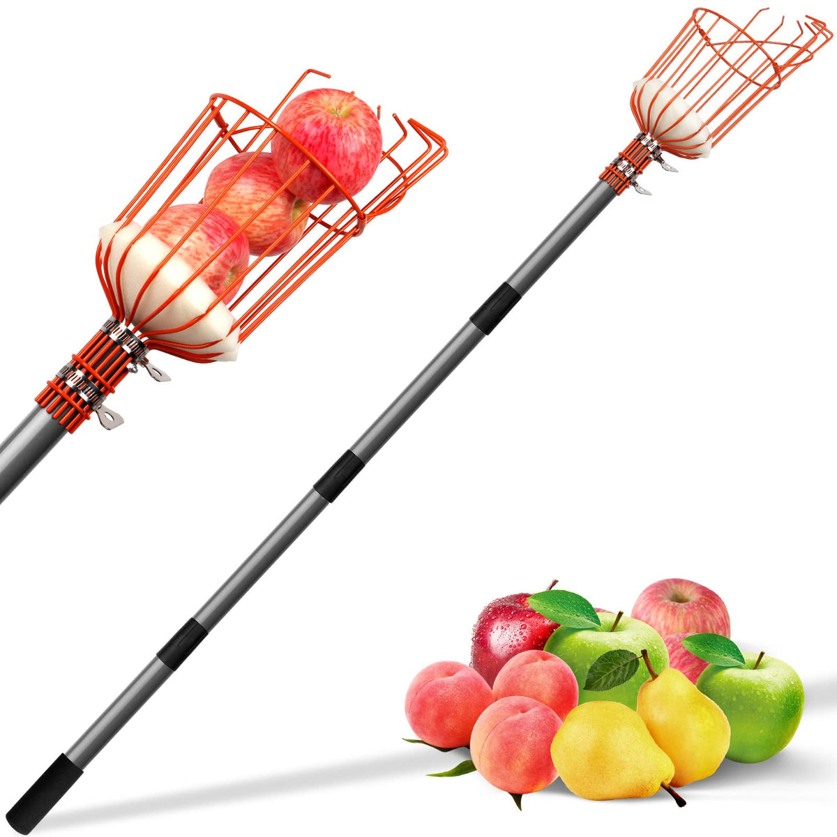 Walensee 13FT fruit picker pole with basket front view