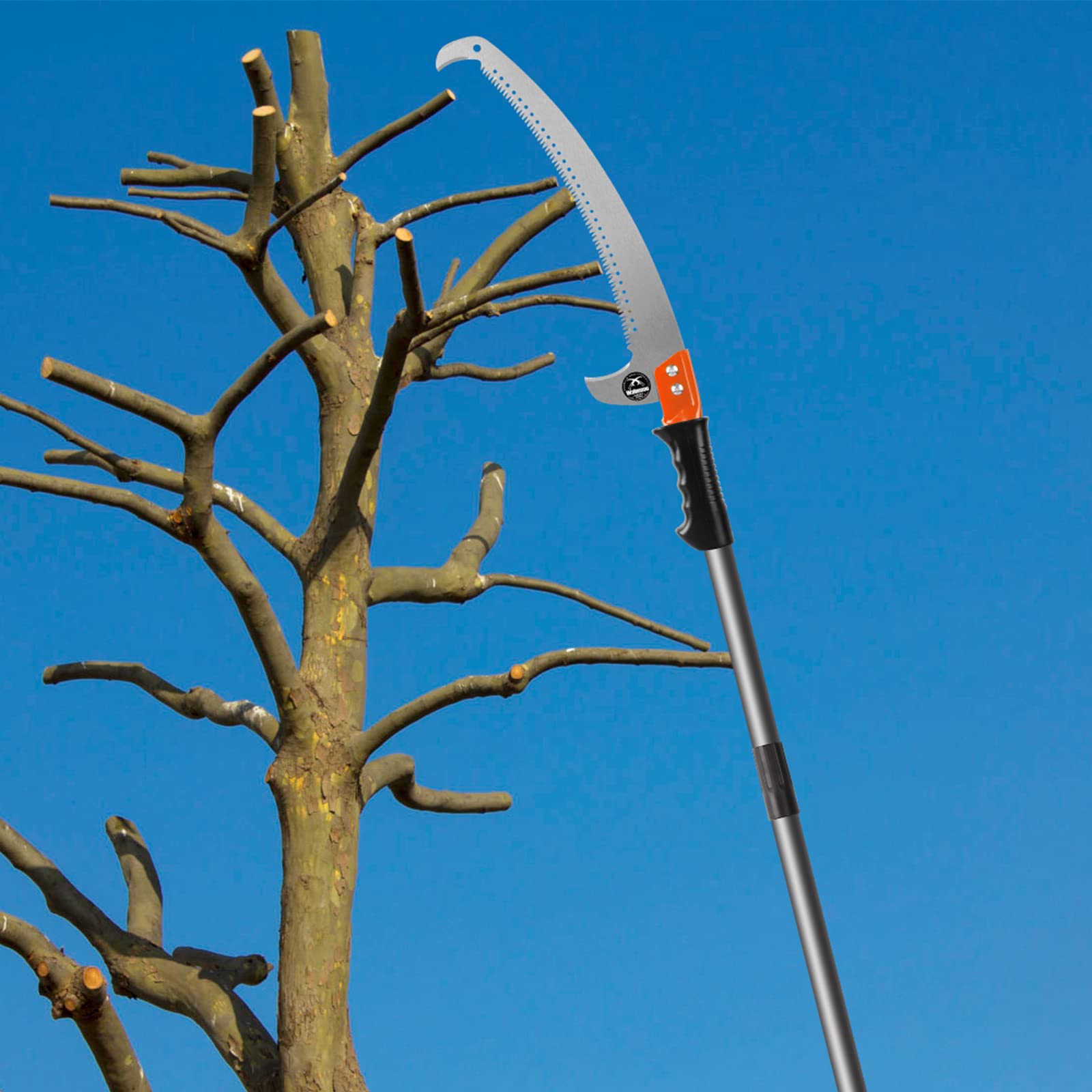 Walensee 7.7FT Pole Saw with adjustable length feature highlighted