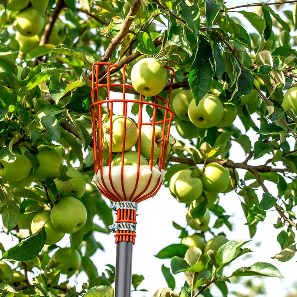 Walensee fruit picker pole storage position