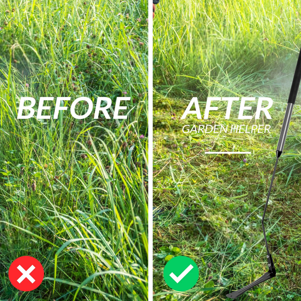 Walensee Grass Whip resting on grass background