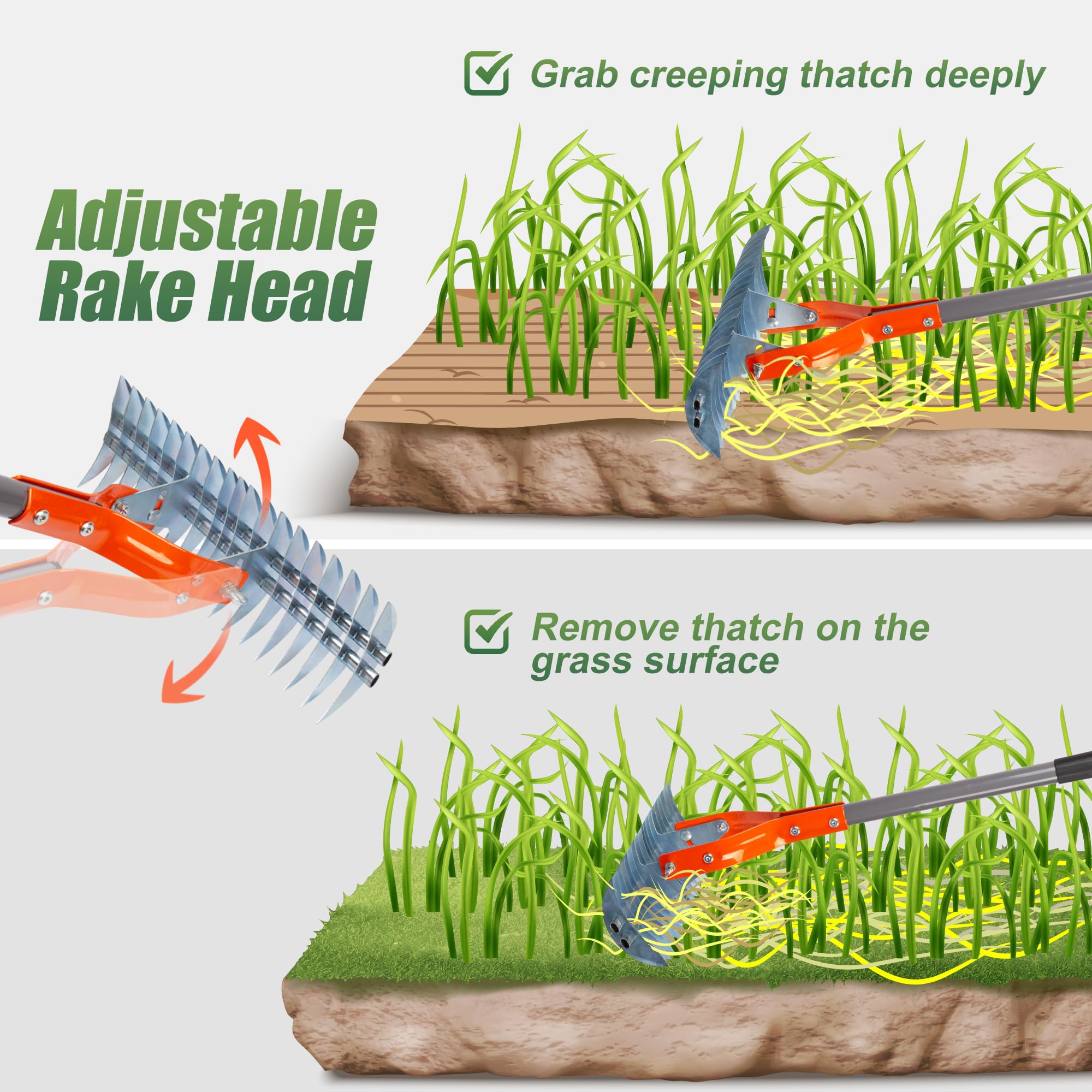 Walensee Thatch Rake in use on a lawn