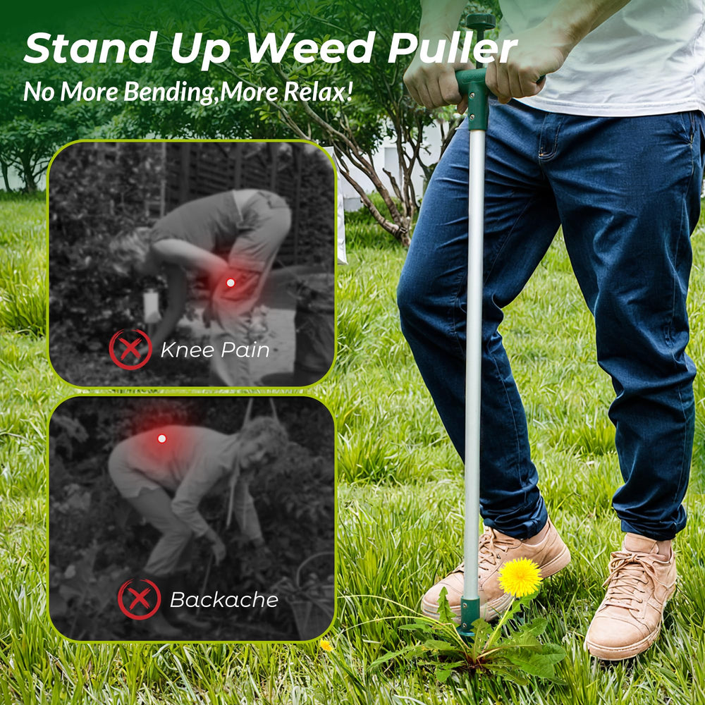 Walensee Weed Puller in use in a garden