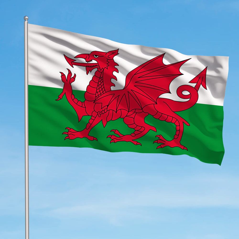 Wales Flag in a garden setting