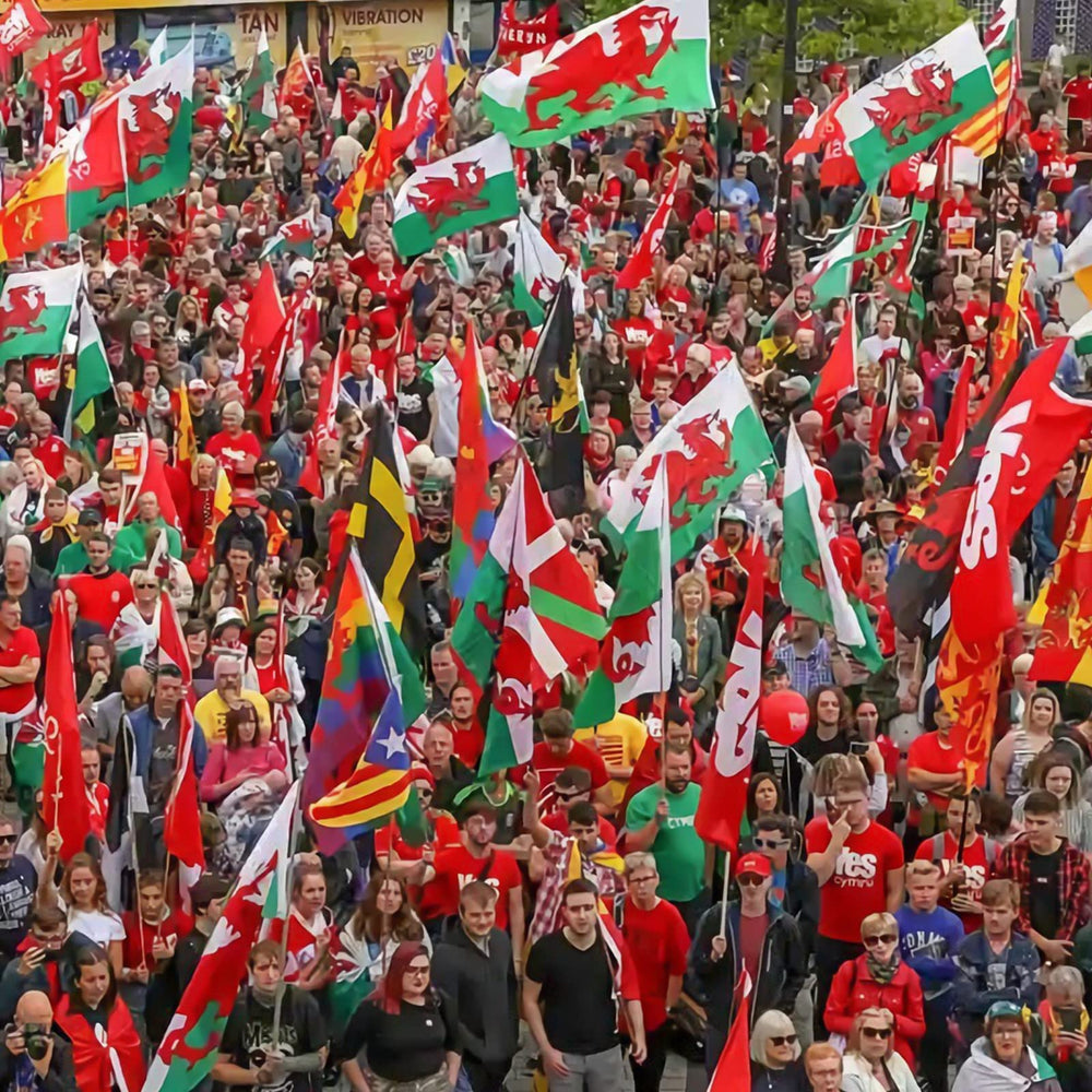 Wales Flag packaging dimensions and details