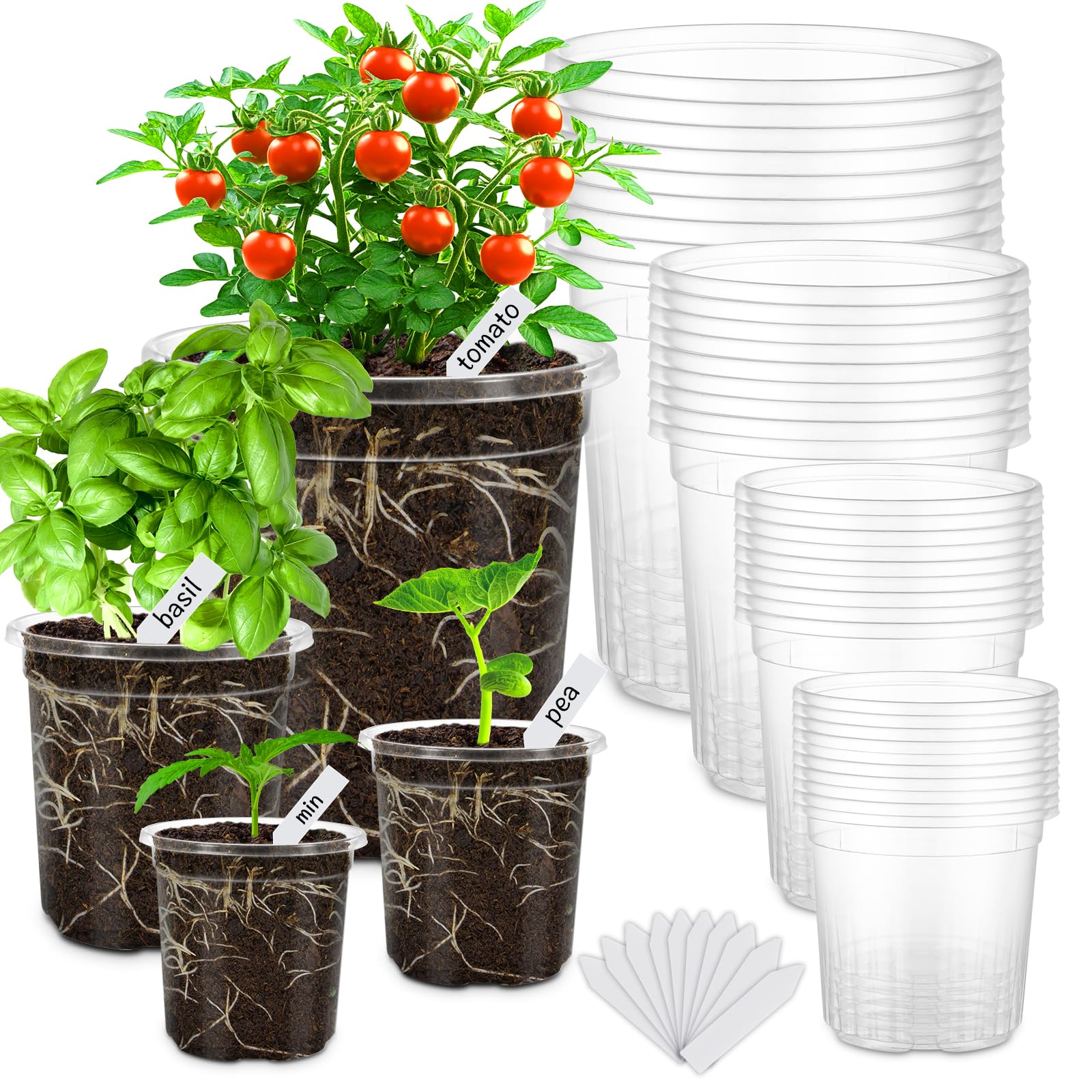 WandaQueen 36 Pcs Clear Nursery Plant Pots variety pack with labels