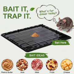 Wanqueen Glue Trap in use in a corner of a room
