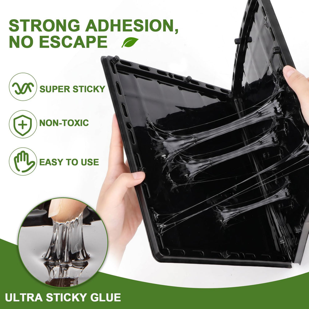 Wanqueen Glue Trap packaging with specifications