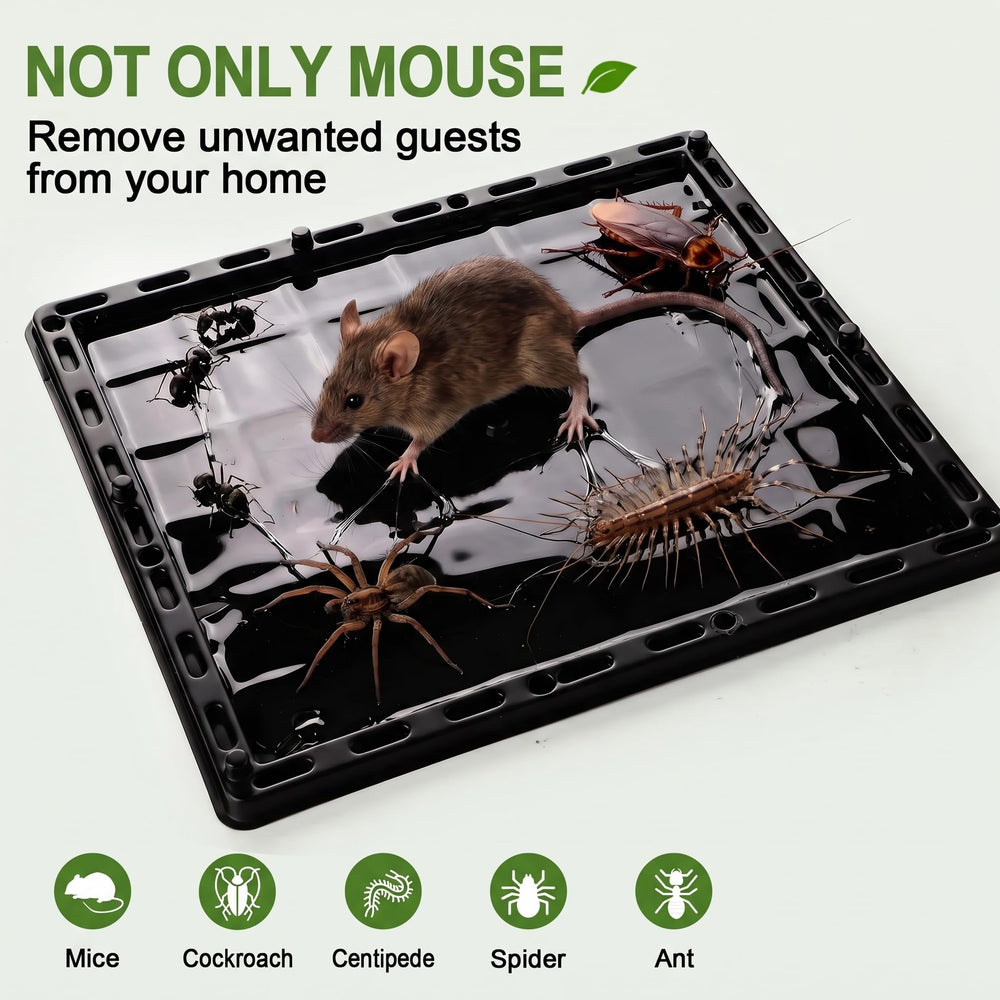 Wanqueen Glue Trap showing peanut taste pheromone