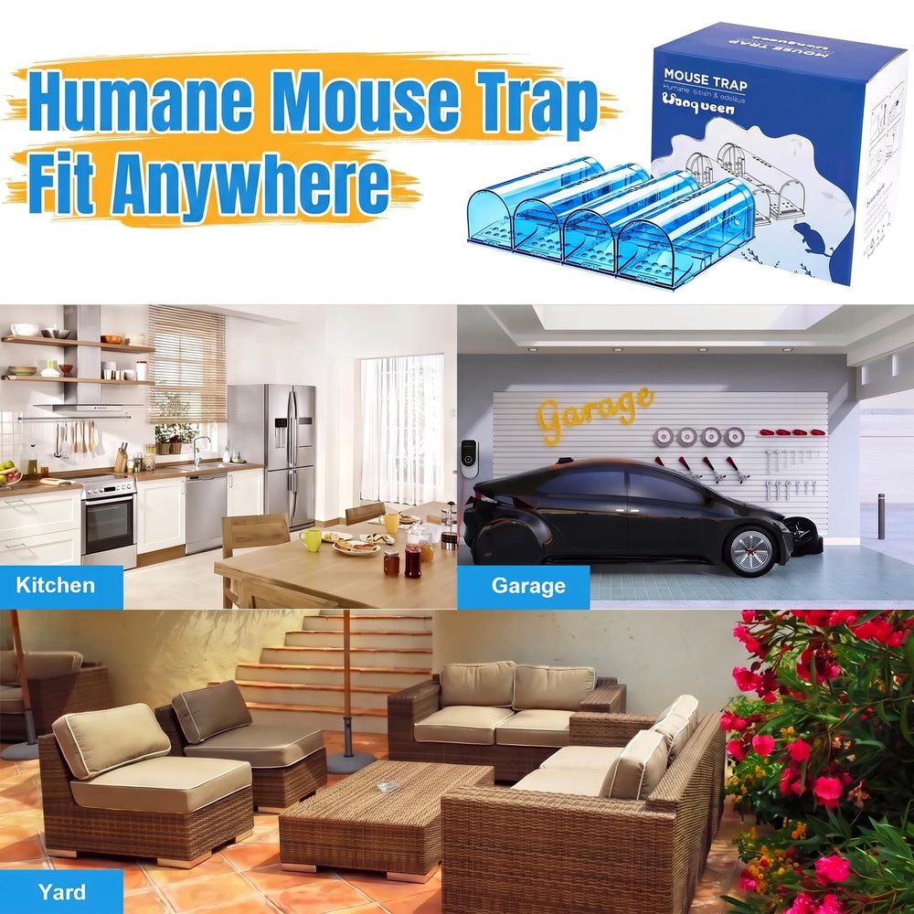 Wanqueen Humane Live Mouse Trap in use with bait placed inside